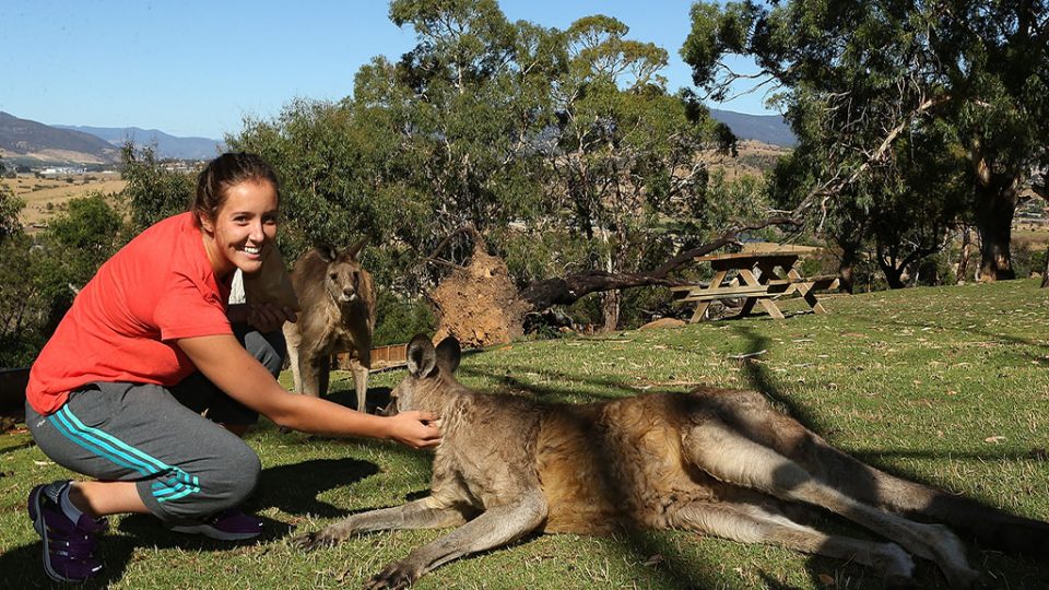 Laura Robson meets a Kangaroo at Bonorong Wildlife Sanctuary